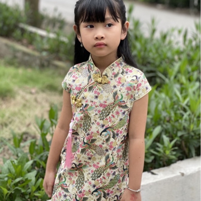 Đầm Sườn Xám Cách Tân Tay Ngắn Kiểu Trung Hoa Dễ Thương Cho Bé Gái từ 10kg - 23kg