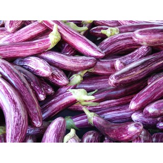 HẠT GIỐNG CÀ TÍM(CHẤT LƯỢNG-UY TÍN)