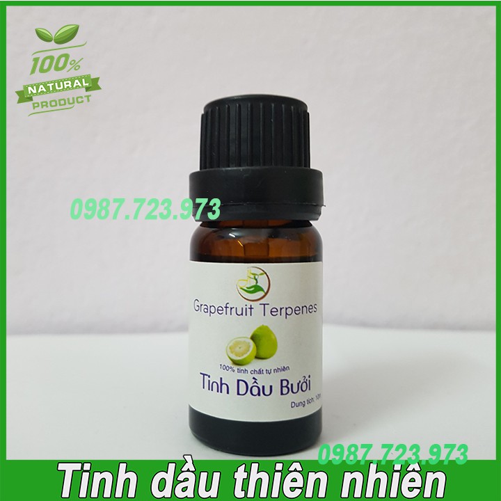 Tinh Dầu Thiên Nhiên Nhập Khẩu - Chai nhỏ 10ml [Tùy Chọn Mùi]