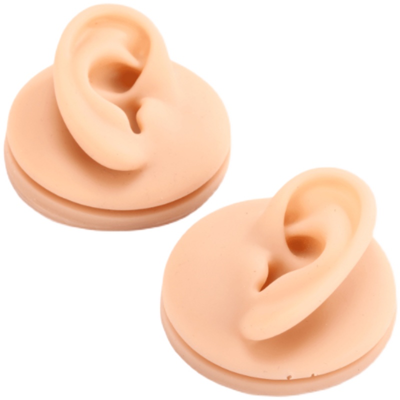 Mô Hình Trưng Bày Khuyên Tai Bằng Silicone
