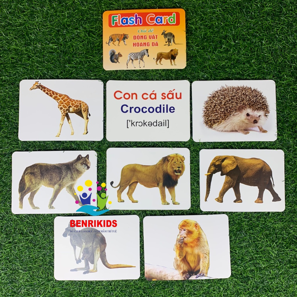 Thẻ Học Thông Minh Song Ngữ,Thẻ FLashCards Theo Phương Pháp Glenn Doman Nhiều Chủ Đề Cho Bé
