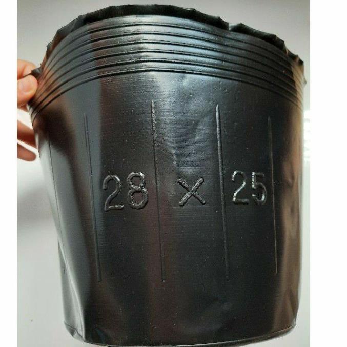 1kg chậu ươm (bầu) cây 28x25 hàng dày đẹp