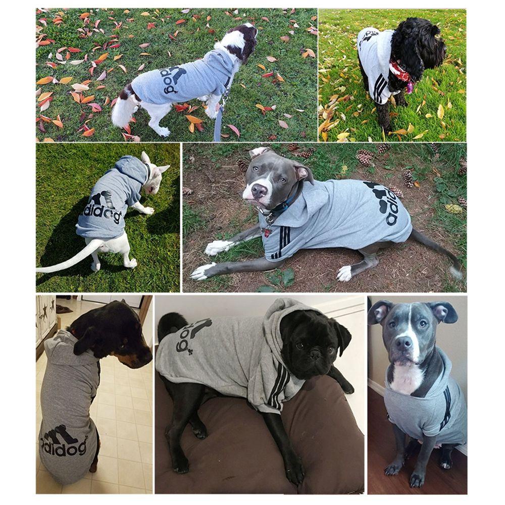 Áo Khoác Hoodie Cotton Cỡ Nhỏ / Vừa / Lớn In Hình Chó Bull Chihuahua Pháp Size XS-9XL Cho Cún Cưng