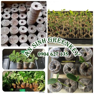 combo 500 viên ươm hạt xơ dừa