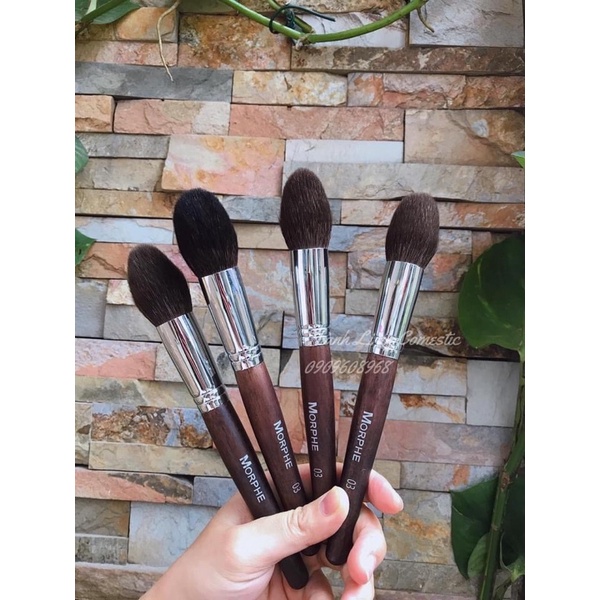Cọ lẻ morphe