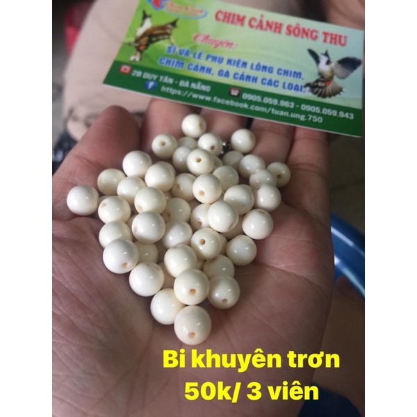 Bi tròn lồng khuyên