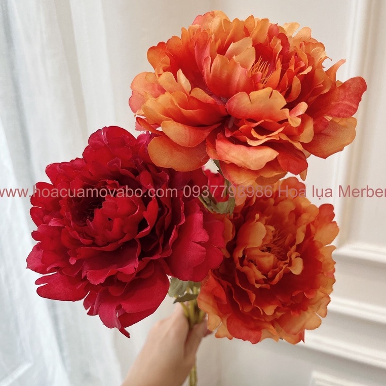 Cành 2 Bông Hoa Mẫu Đơn Peony Hàn Quốc Lụa Cao Cấp Merber (Mơ &amp; Bơ) Nhiều Màu Bông 70cm Có Nụ - Hoa Khô Decor Trang Trí