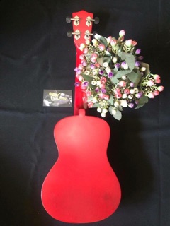 Đàn ukulele Concert GT-450