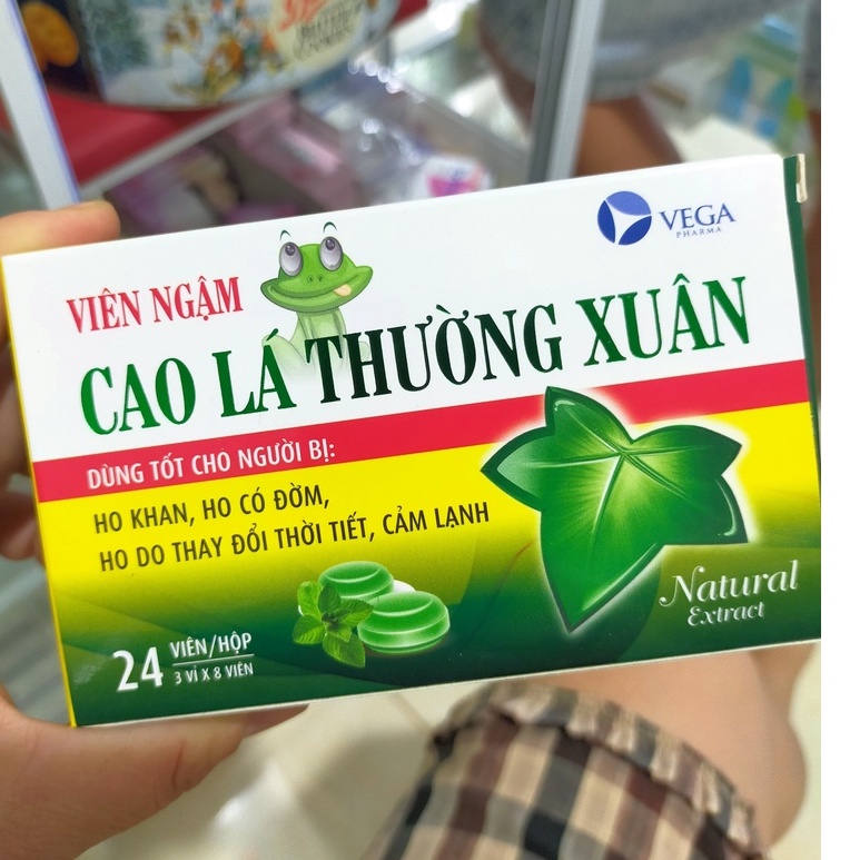 VIÊN NGẬM HO, BỔ PHẾ, CAO LÁ THƯỜNG XUÂN