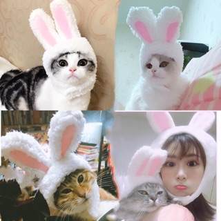 MŨ TAI THỎ CUTE CHO CHÓ MÈO