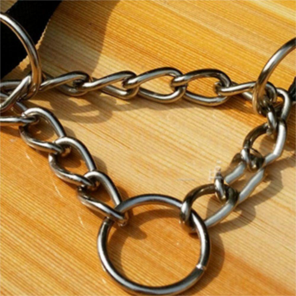 MIQUEL Dây Xích Huấn Luyện Thú Cưng