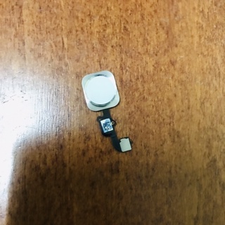 Nút home iphone 6s plus