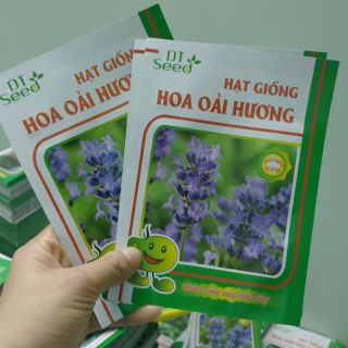 Hạt giống hoa oải Hương - Rau củ quả trồng tại vườn, sân thượng, nông trang, ban công