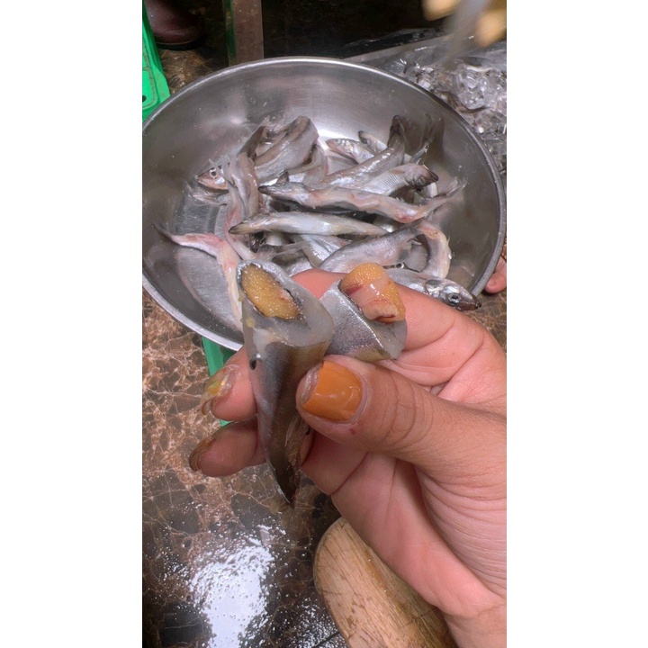 1 Kg Cá Trứng NaUy