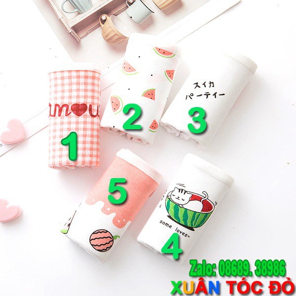 SỈ ZALO RẺ HƠN NHIỀU_ Quần Lót Mèo Tắm Trong Bồn Dưa Hấu Mới 5055 | BigBuy360 - bigbuy360.vn