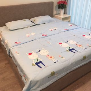 Chiếu lụa điều hòa 2*2,2m