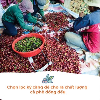 Cà phê Robusta Lâm Đồng - Túi 250gr (Dạng Bột)