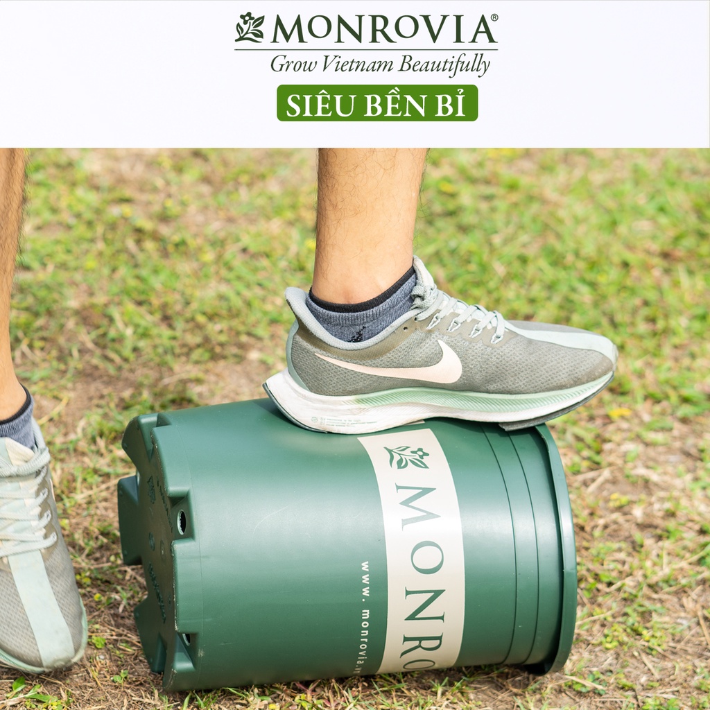 Chậu trồng cây MONROVIA cho hoa hồng, cây cảnh mini, trồng rau, để bàn, treo ban công, tiêu chuẩn Châu Âu