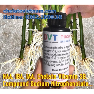 T-ROOT 100% (V02) - Dung dịch siêu kích thích ra rễ (chai 50ml)