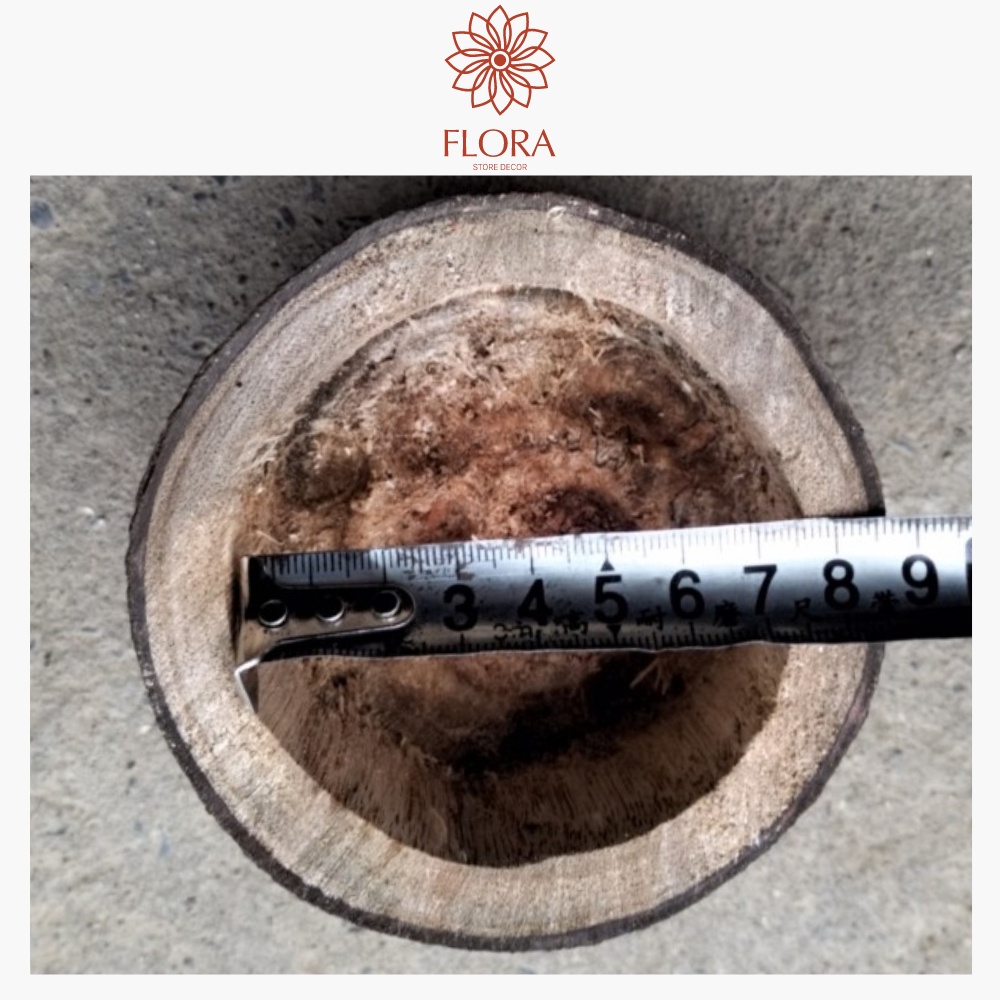 Chậu khúc gỗ tự nhiên dùng trồng cây sen đá tiểu cảnh  đế nến decor trang trí vintage FLORA DECOR
