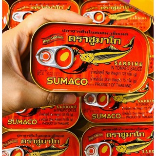 Cá hộp Sumaco Thái Lan