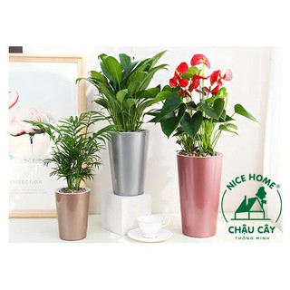 Chậu cây tự dưỡng thông minh - A409 Metal Color