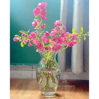 Lọ hoa chum gầy miệng bèo