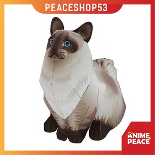 Mô hình giấy mèo ragdoll mô hình giấy động vật mèo os70