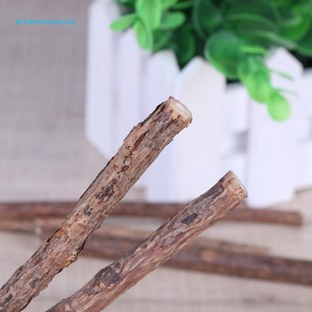 Que gặm chuyên dụng làm sạch răng cho mèo cưng