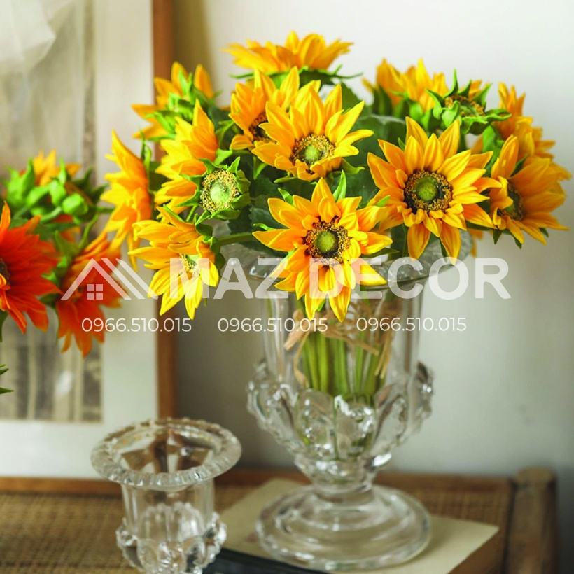 SALE GIÁ SỈ TẠI XƯỞNG Ly lọ cốc thủy tinh đựng để phật thủ, li cắm hoa, trồng hoa đẹp giá rẻ