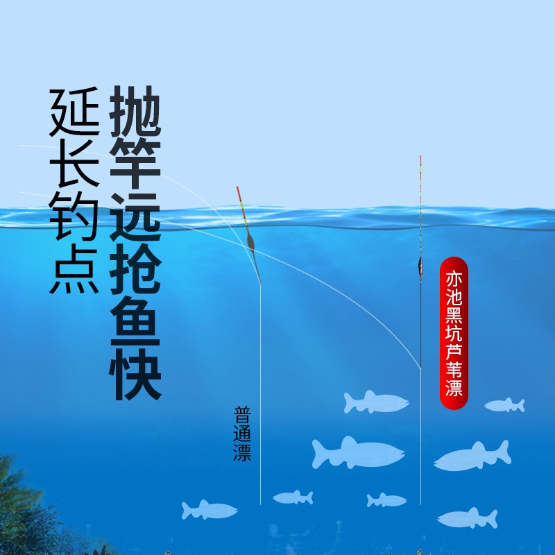 Phao câu chép nước sâu, phao câu đơn, đài cao cấp- YiChi