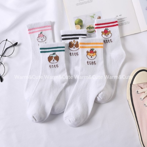 Combo 5 đôi tất vớ trắng Hàn Quốc phiên bản hoạt hình chất cotton co giãn Warm&amp;Cute AD03
