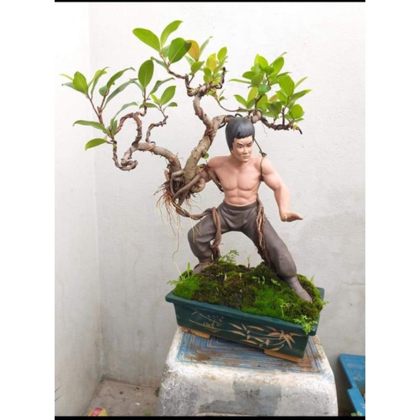 Tượng bonsai Lý Tiểu Long