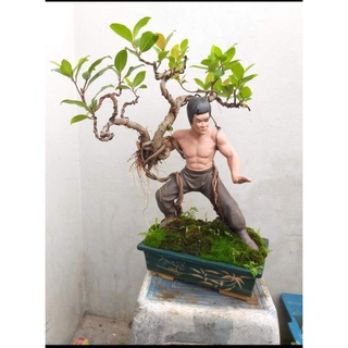 Tượng bonsai Lý Tiểu Long( không gồm cây)