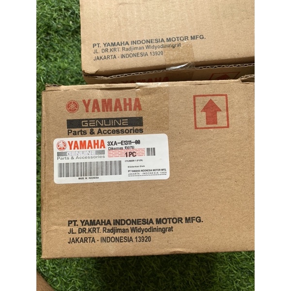 Full nòng + piston bạc 3YR Yass, F1z