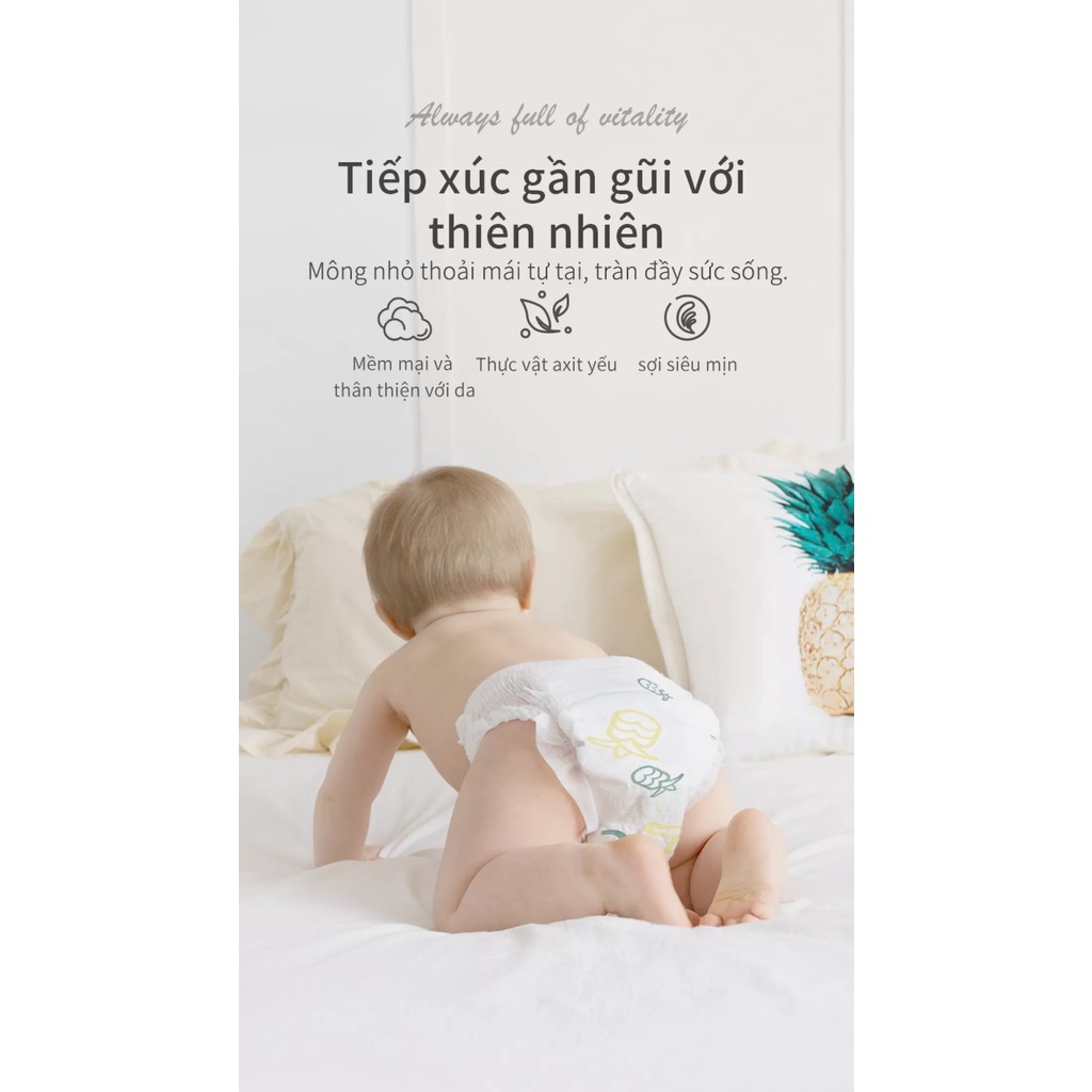 Bỉm dán/quần Dứa Boddog mẫu mới 2022 Siêu Mỏng 2mm S44/M42/L40-L36/XL34/XXL32/XXXL30 miếng