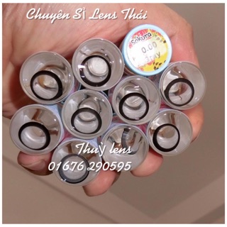 Sỉ 20cặp sakura gray 40k