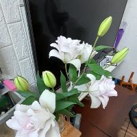 Gia đình của bé