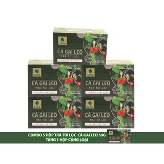 COMBO 5 Hộp Trà Túi Lọc Cà Gai Leo 50g_TẶNG 1 Hộp cùng loại