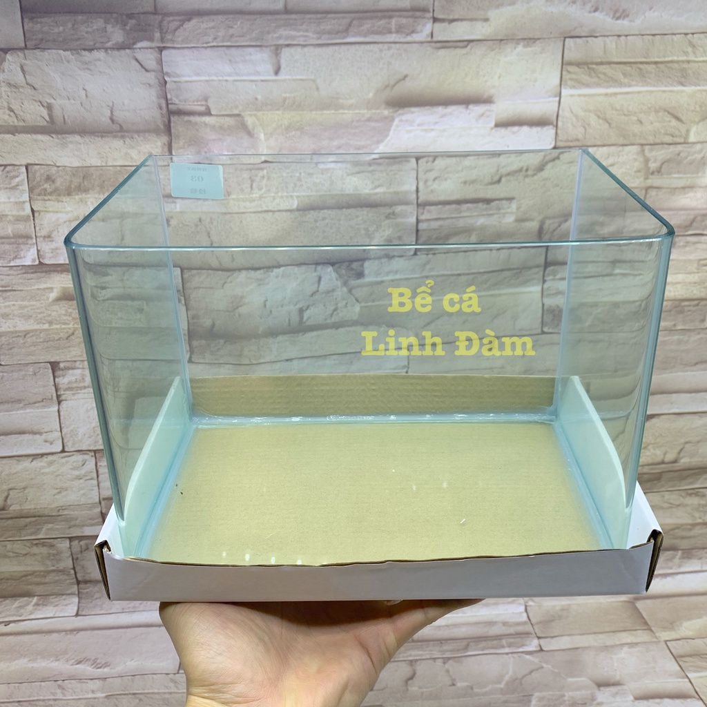 Bể Cá Chữ Nhật 25cm Kính Đúc Bo Góc Đẹp - Bể Cá Mini Để Bàn Dài 25cm