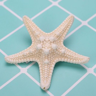 Kẹp Toc Ngoi Sao Biển đang Yeu Cho Be Gai Giảm Chỉ Con 19 308 đ