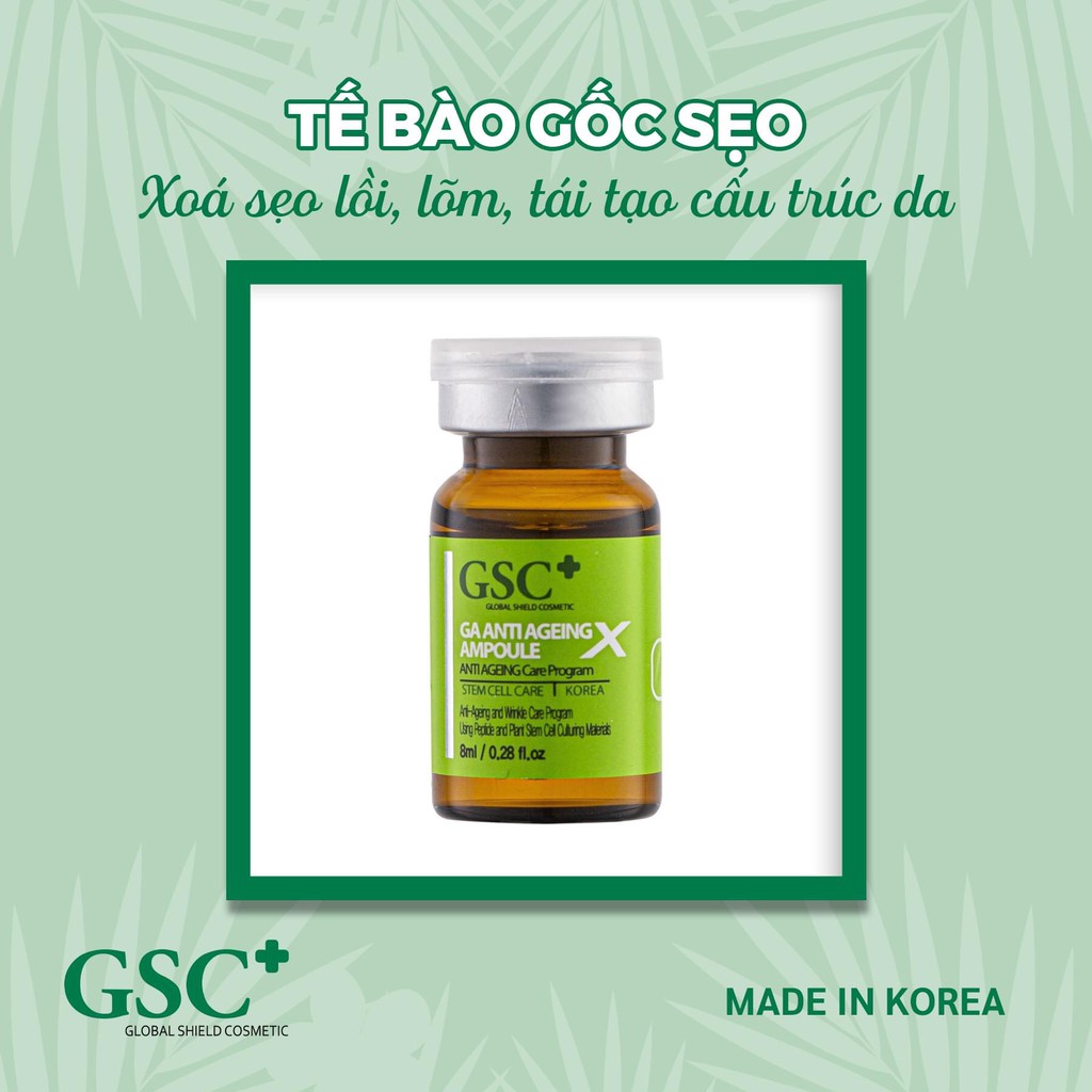 Tế bào gốc giảm sẹo rỗ, lỗ chân lông to GSC