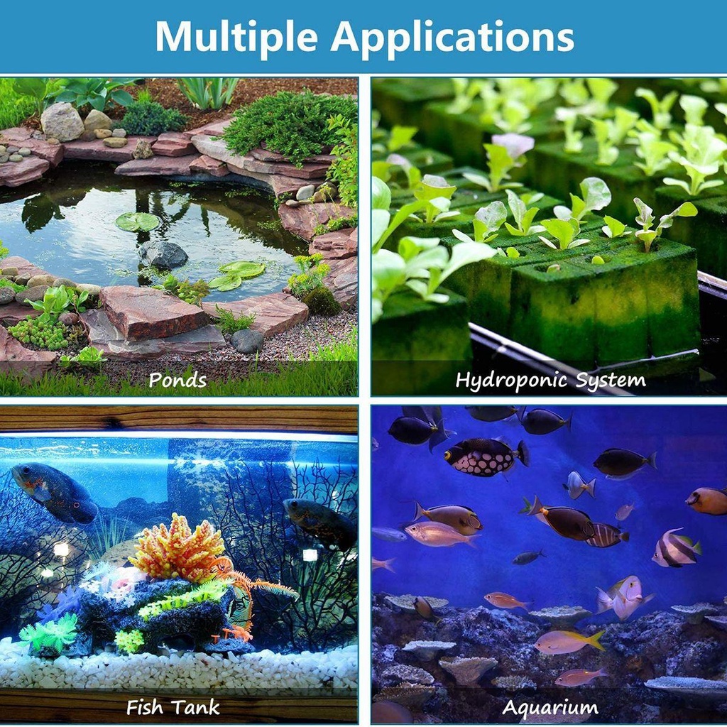 Không Khí AUGUSTINA Air|Máy Bơm Bong Bóng Cho Bể Cá