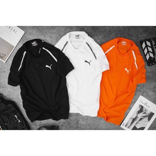 Áo thun nam Campu cotton basic - Form Âu (xem bảng size áo phông phần mô tả)