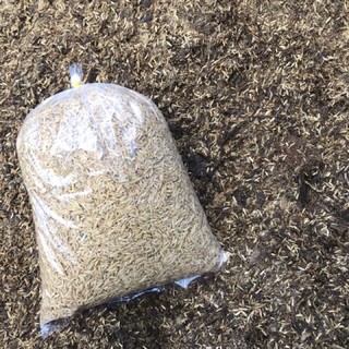 500gr vỏ trấu giá thể trồng cây