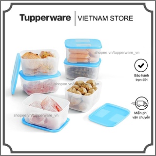Bộ Hộp Trữ Đông Freezermate 650ml 6 Hộp Tupperware
