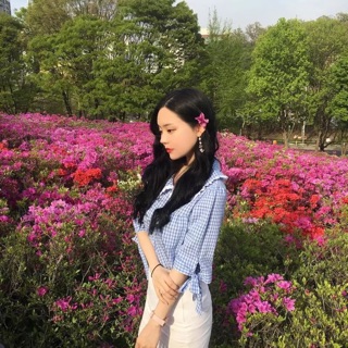 Sơ mi kẻ xanh Hàn xẻng