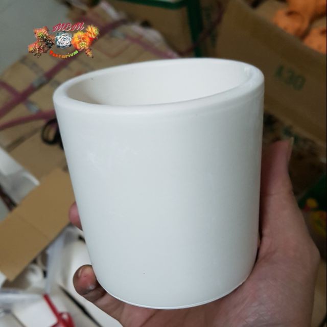 Chậu trắng trụ nhỏ |FREESHIP  SIÊU XINH | LỖI 1 ĐỔI 1