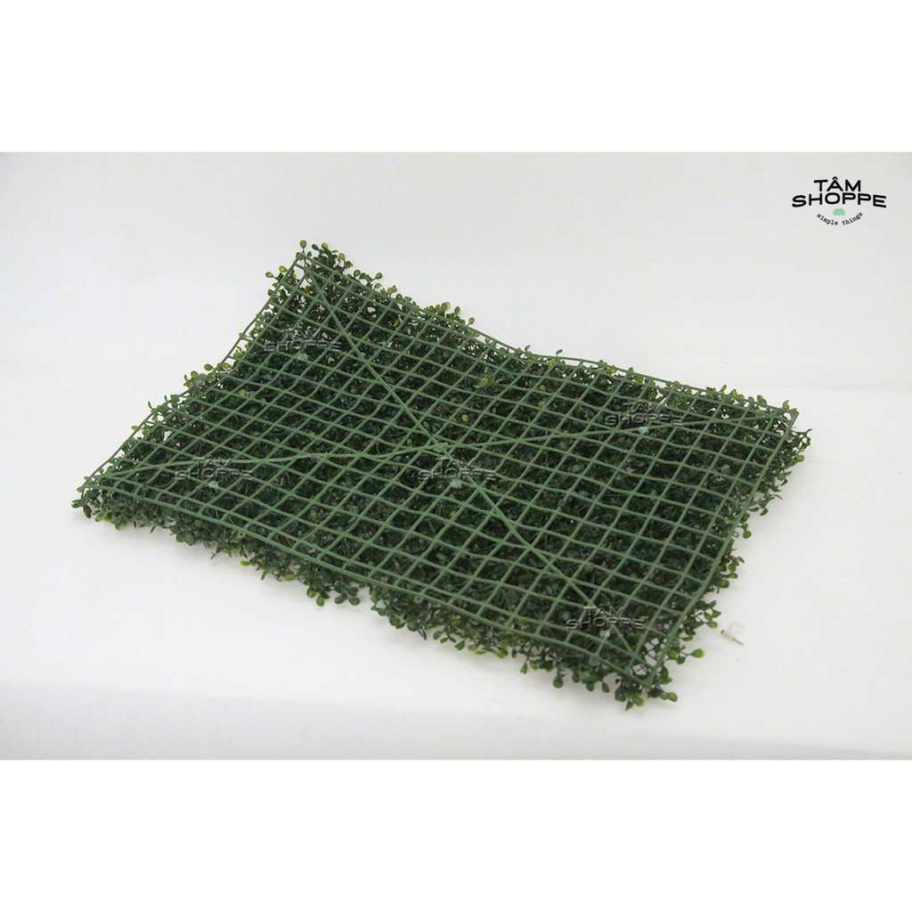 Thảm cỏ xanh ba lá 60x40cm