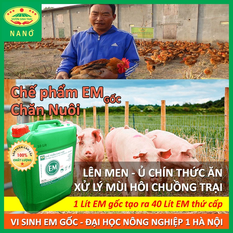 Chế phẩm sinh học EM gốc dùng cho Chăn Nuôi